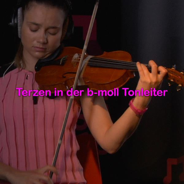 Folge 104: Terzen in der b-moll Tonleiter! - violino online, play violin online,   - tocar violin online, уроки игры на скрипке, Metodo Mirkovic - cours de violon en ligne, geige online lernen