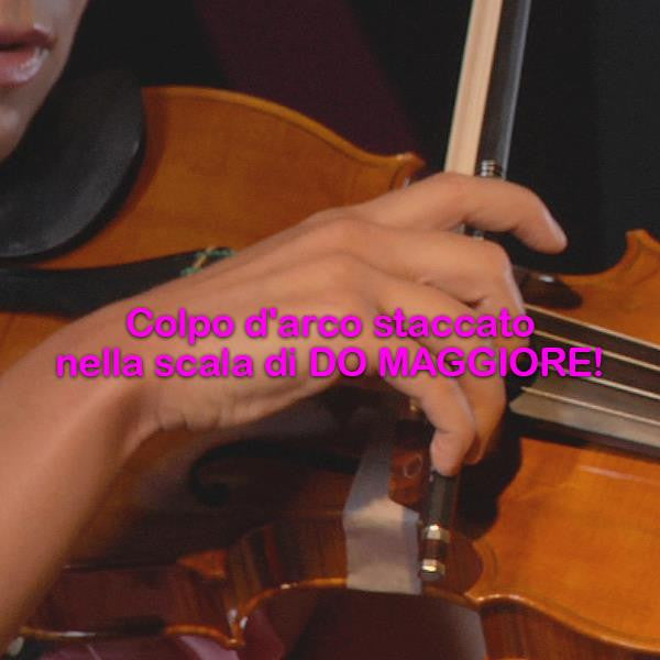 Lezione 191 : Colpo d'arco staccato nella scala di DO MAGGIORE! - violino online, play violin online,   - tocar violin online, уроки игры на скрипке, Metodo Mirkovic - cours de violon en ligne, geige online lernen