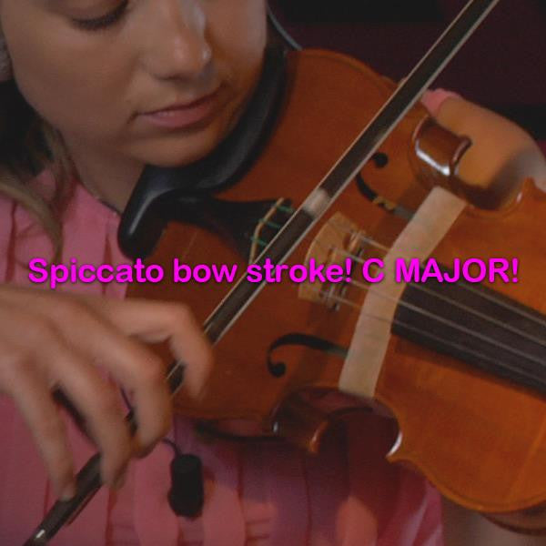 Lesson 194:Spiccato bow stroke!C MAJOR! - violino online, play violin online,   - tocar violin online, уроки игры на скрипке, Metodo Mirkovic - cours de violon en ligne, geige online lernen