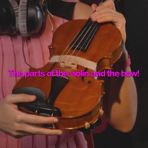 Lesson 200: The parts of the violin and the bow! - violino online, play violin online,   - tocar violin online, уроки игры на скрипке, Metodo Mirkovic - cours de violon en ligne, geige online lernen